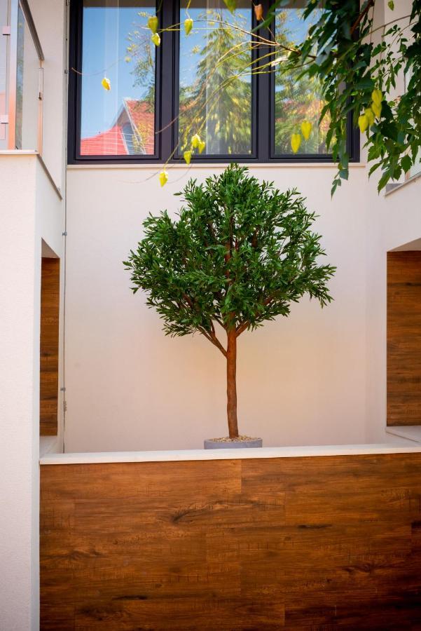 Elixir Panzio Bed & Breakfast Nyírbátor Dış mekan fotoğraf